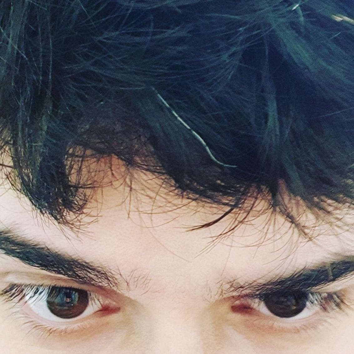 Pedro